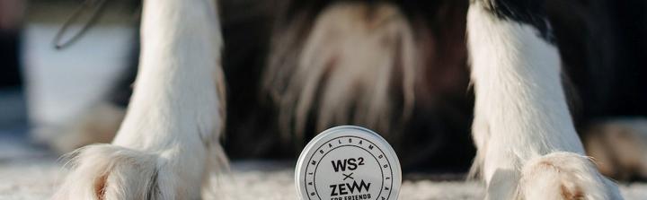 Zew for Men - stworzyli produkt dla psów, a część dochodu ze sprzedaży trafi na rzecz Fundacji Przyjaciel Zwierz
